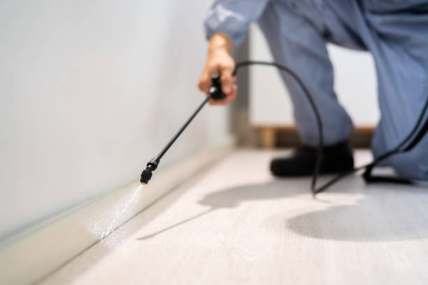 Licensed Pest Control service in Broussard, LA - Show Me Pest Control