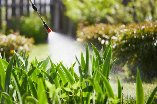 Tamper-Resistant Bait Stations for Rodents in Broussard