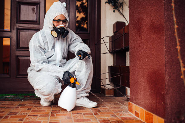 Attic and Crawl Space Rodent Treatment in Broussard