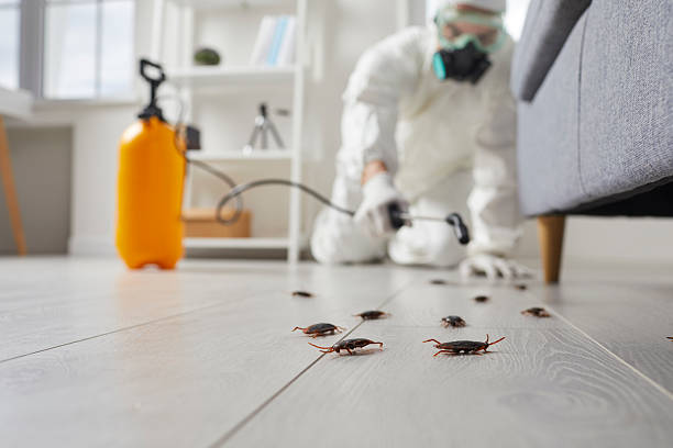 Commercial Rodent Management in Broussard